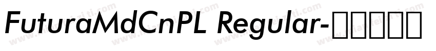 FuturaMdCnPL Regular字体转换